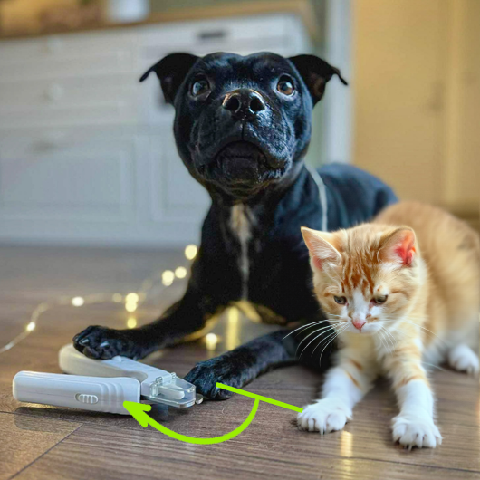 PawLume™ — Light Up Every Trim for Calm, Confident, Pain-Free Grooming