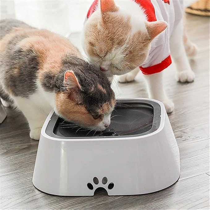 FlowGuard™ — Keep Floors Dry and Your Dog’s Sips Calm and Happy