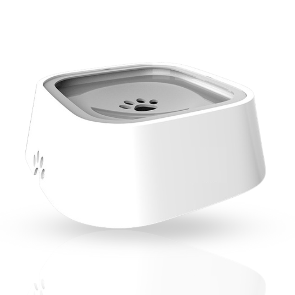 FlowGuard™ — Keep Floors Dry and Your Dog’s Sips Calm and Happy