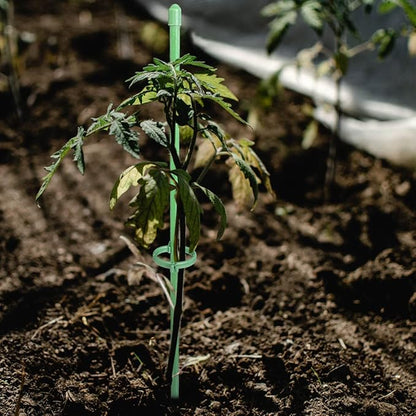 ThriveTend™ — Rock-Solid Support That Turns Your Garden Into a Towering Masterpiece