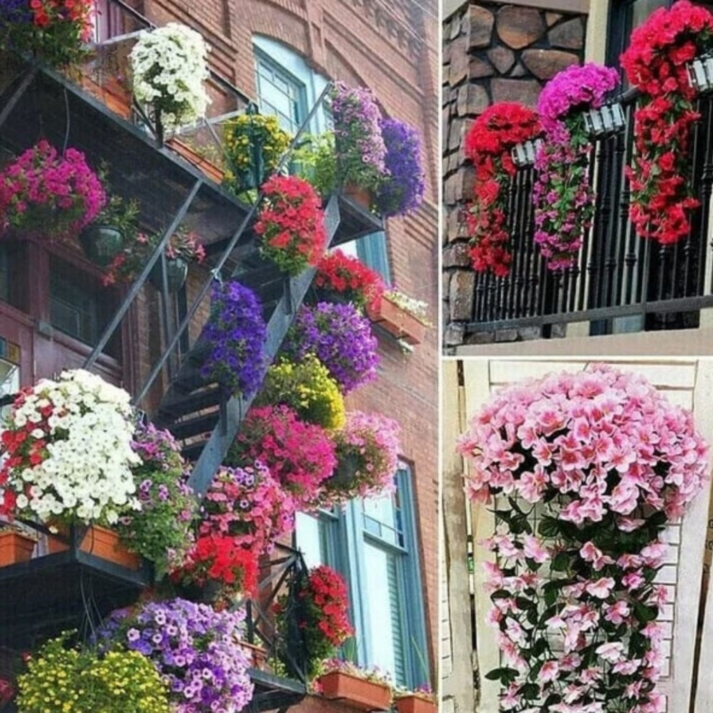 Floriquea™ — Transform Your Space with Effortless, Everlasting Orchid Elegance