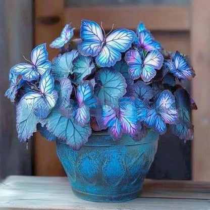 VividWing™ Butterfly Bloom Seeds — Create a Jaw-Dropping Garden Oasis That Dazzles Every Season