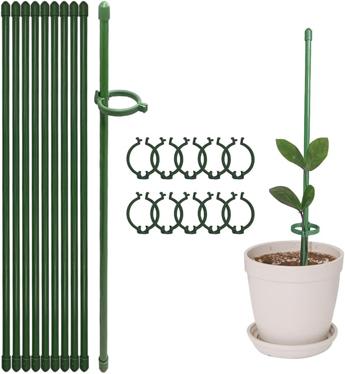 ThriveTend™ — Rock-Solid Support That Turns Your Garden Into a Towering Masterpiece