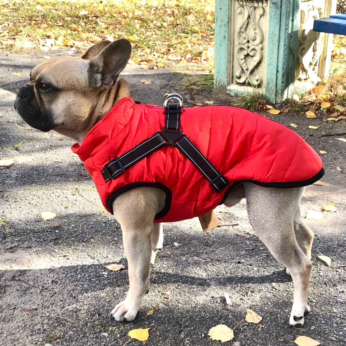 BlizzardGuard™ — Wrap Your Dog in Stormproof Warmth and Total Leash Control