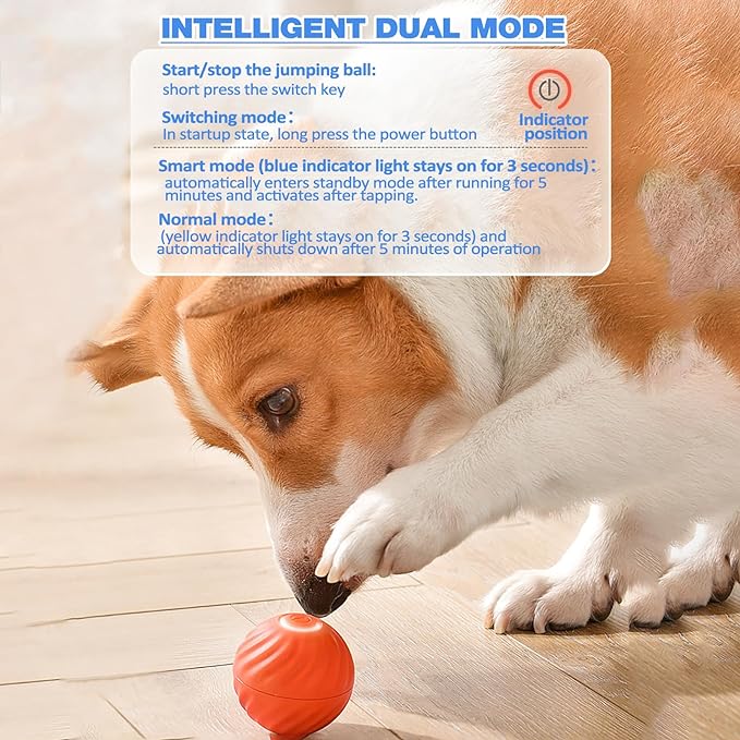 ChaseSpark™ — Ignite Your Dog’s Wild Instincts for Endless Joyful Play