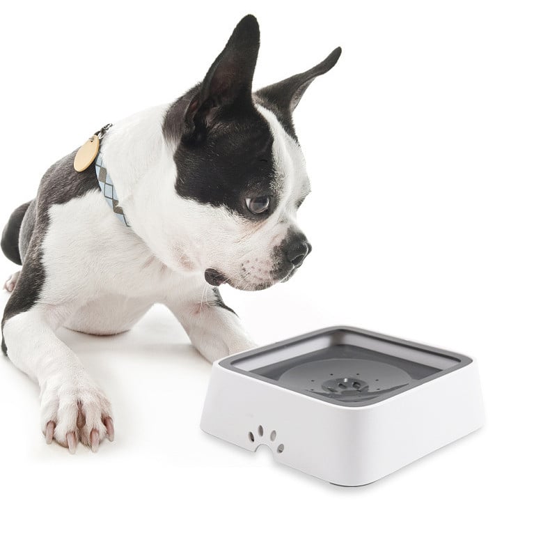 FlowGuard™ — Keep Floors Dry and Your Dog’s Sips Calm and Happy