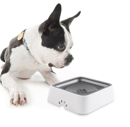 FlowGuard™ — Keep Floors Dry and Your Dog’s Sips Calm and Happy