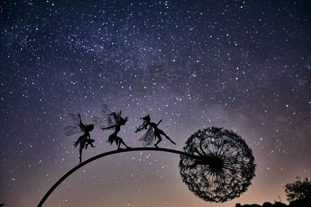 Faelyra™ — Ignite Your Garden with Enchanting Magic and Lasting Wonder