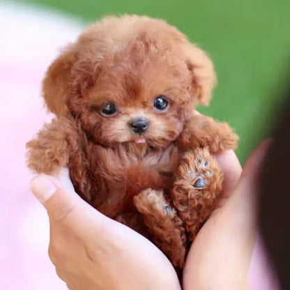 MarvelBuddy™ — Ignite Heartfelt Joy with Every Loving Wag and Playful Bark