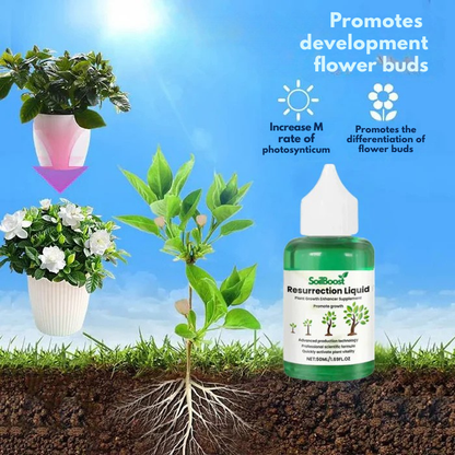 TerraVibe™ Botanical Elixir — Ignite Lush Growth and Unbreakable Plant Vitality