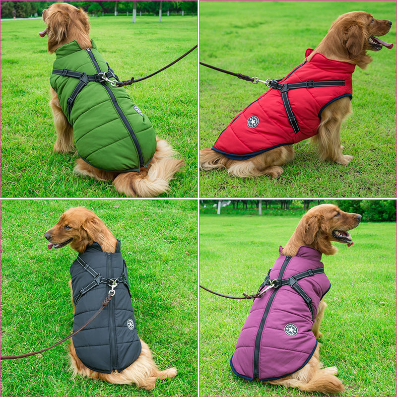 BlizzardGuard™ — Wrap Your Dog in Stormproof Warmth and Total Leash Control