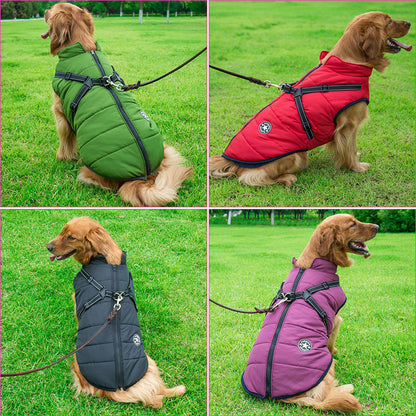 BlizzardGuard™ — Wrap Your Dog in Stormproof Warmth and Total Leash Control