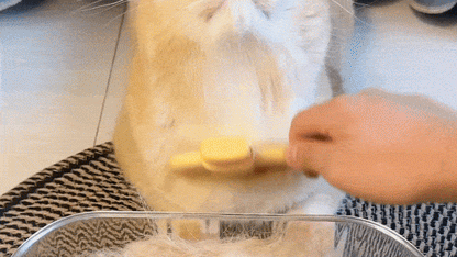 SerenityStroke™ — Turn Grooming Into Your Cat’s Favorite Calming Ritual