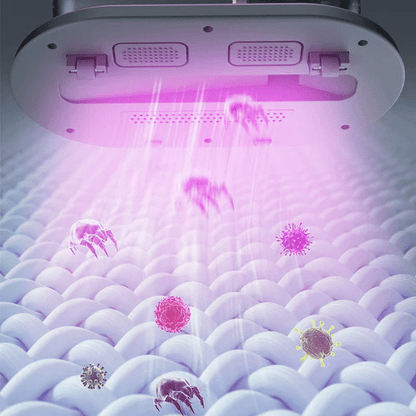 VeloSweep™ — Experience Effortless Freedom with Every Deep Clean
