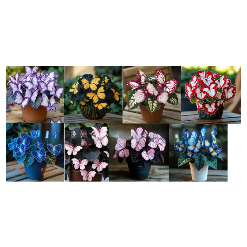 VividWing™ Butterfly Bloom Seeds — Create a Jaw-Dropping Garden Oasis That Dazzles Every Season