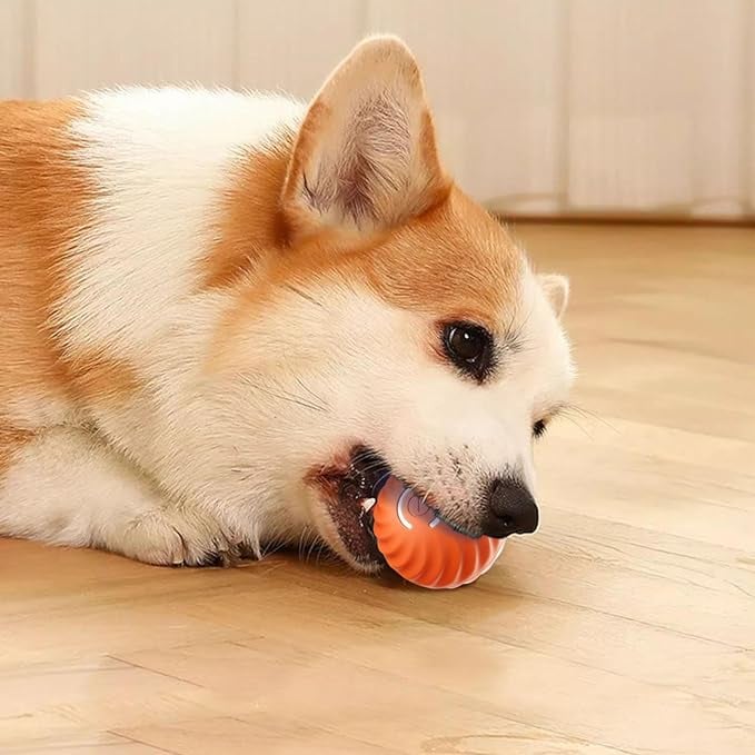 ChaseSpark™ — Ignite Your Dog’s Wild Instincts for Endless Joyful Play