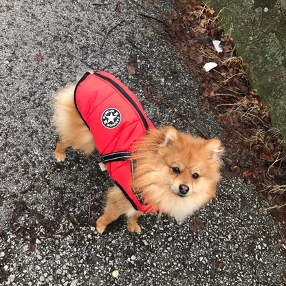 BlizzardGuard™ — Wrap Your Dog in Stormproof Warmth and Total Leash Control