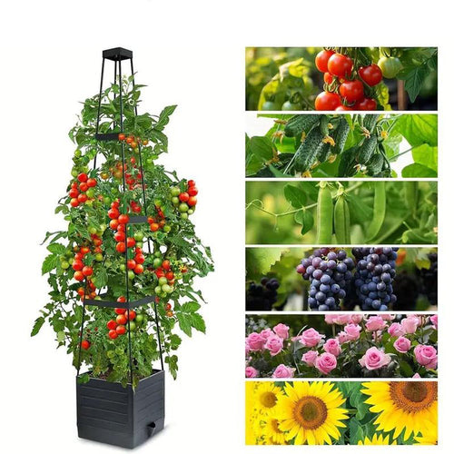 SkyVine™ — Ignite Lush, Towering Gardens Without Sacrificing Your Space