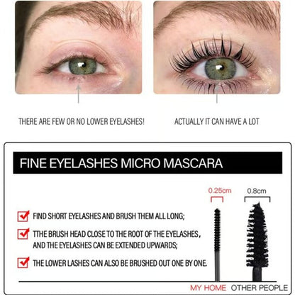 VivaLash™ — Unstoppable Lashes That Command Every Room All Day Long