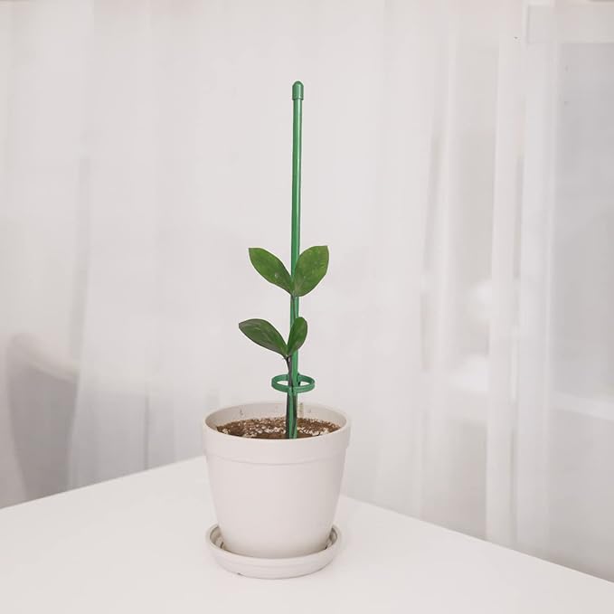 ThriveTend™ — Rock-Solid Support That Turns Your Garden Into a Towering Masterpiece