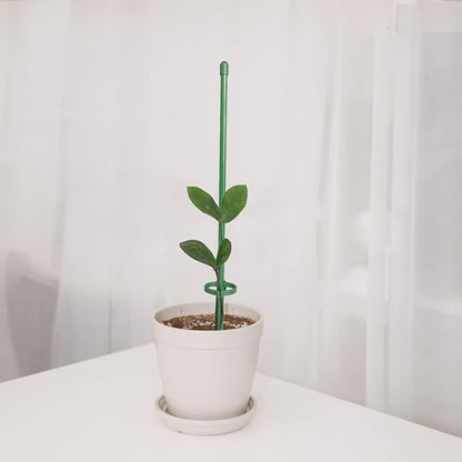 ThriveTend™ — Rock-Solid Support That Turns Your Garden Into a Towering Masterpiece