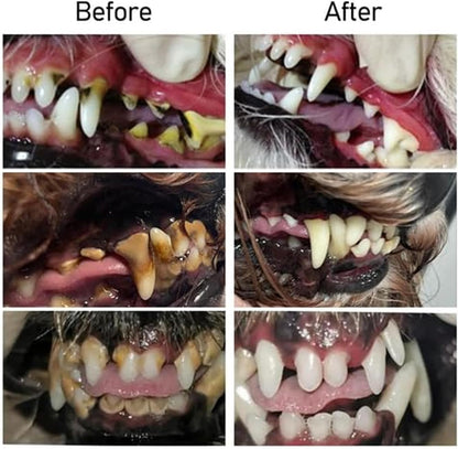 GlisterPaw™ — Turn Every Kiss into a Burst of Fresh, Pain-Free Love