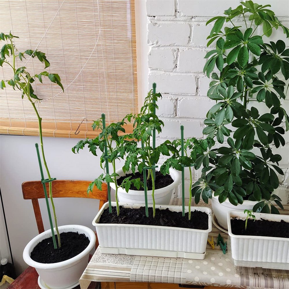 ThriveTend™ — Rock-Solid Support That Turns Your Garden Into a Towering Masterpiece