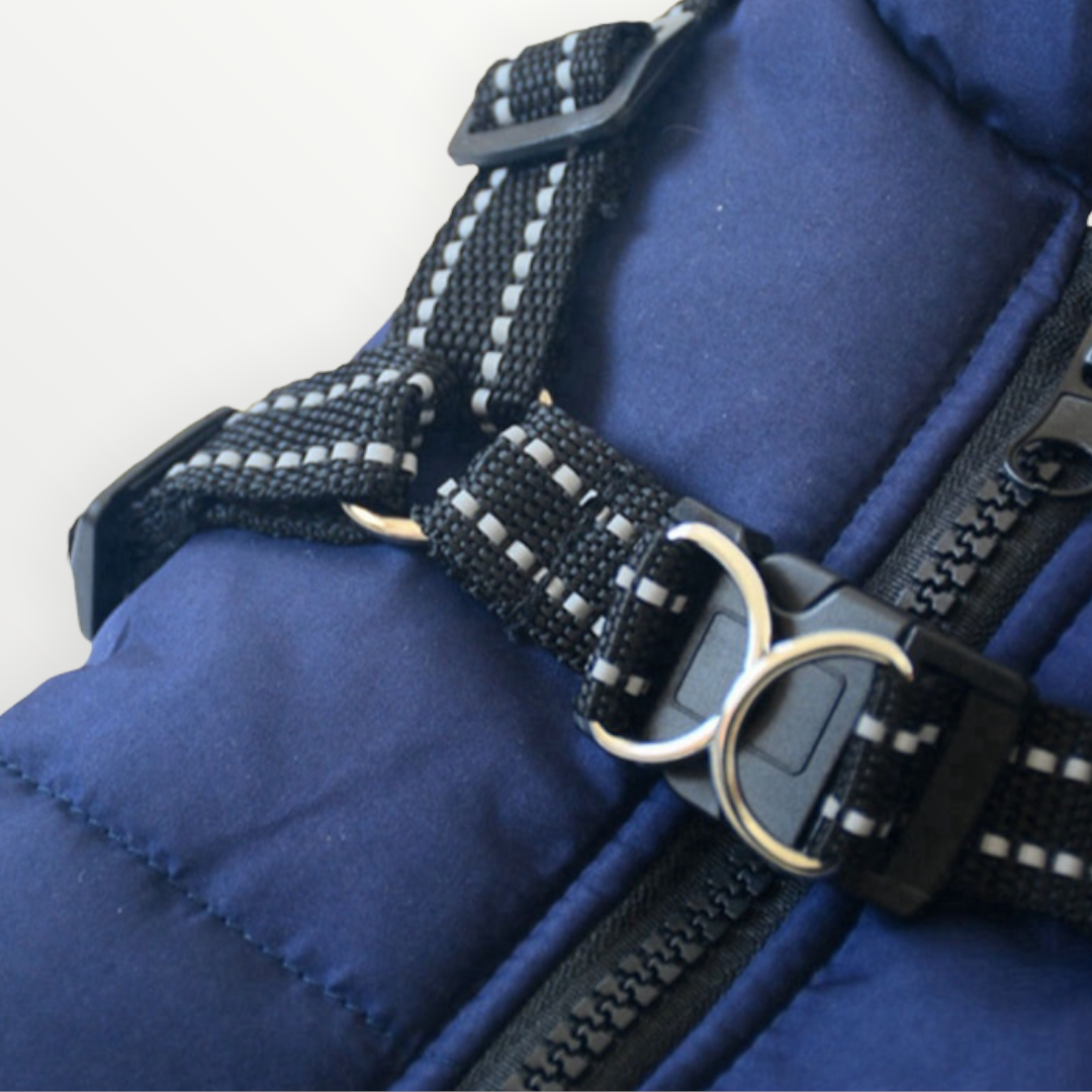 BlizzardGuard™ — Wrap Your Dog in Stormproof Warmth and Total Leash Control