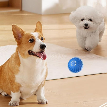 ChaseSpark™ — Ignite Your Dog’s Wild Instincts for Endless Joyful Play