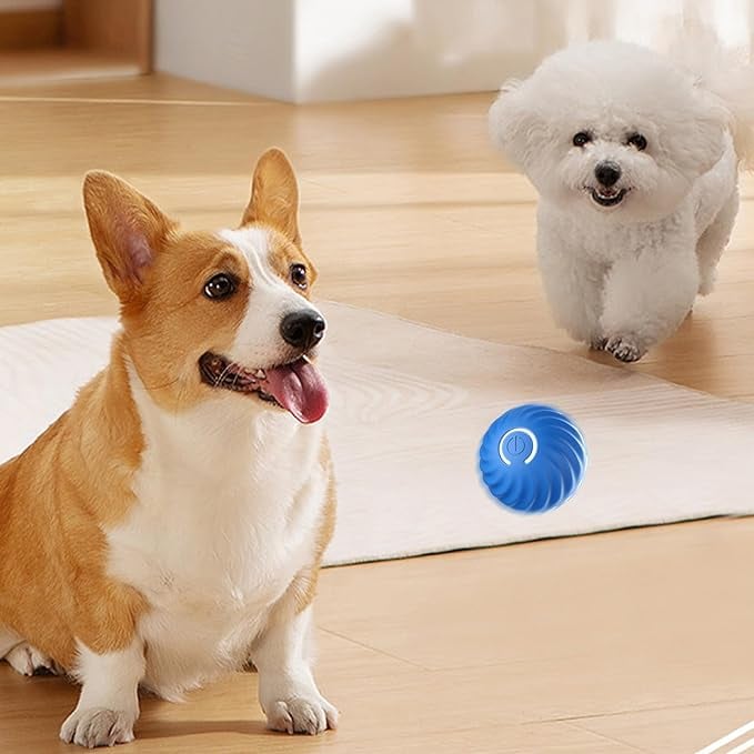 ChaseSpark™ — Ignite Your Dog’s Wild Instincts for Endless Joyful Play