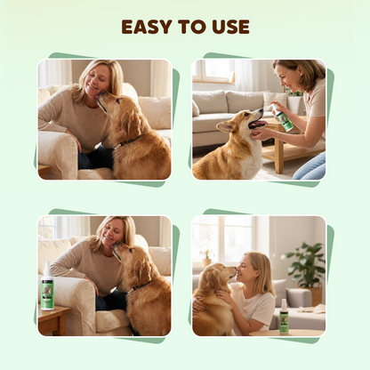 BrightPaw™ — Instantly Unleash Your Pet’s Freshest, Most Cuddle-Ready Smile