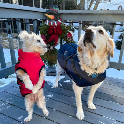 BlizzardGuard™ — Wrap Your Dog in Stormproof Warmth and Total Leash Control