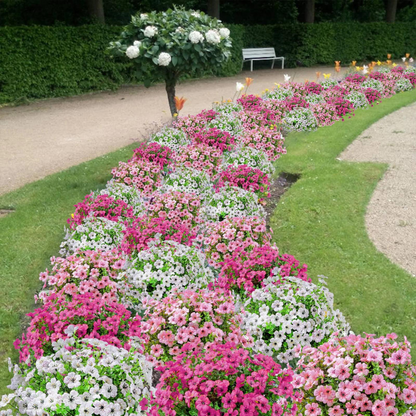 FloraLuxe™ — Forever-Fresh Blooms That Brighten Your World Without Lifting a Finger