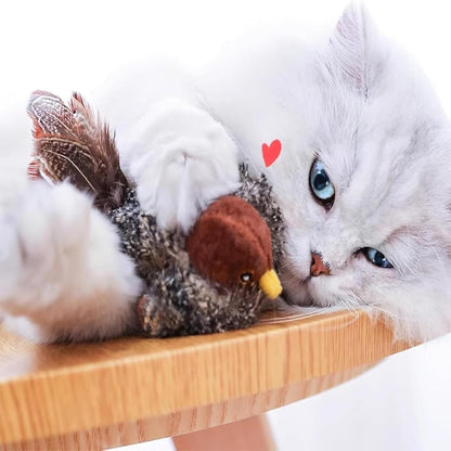 WildWing™ — Ignite Your Cat’s Wild Instincts for Endless Playtime Thrills
