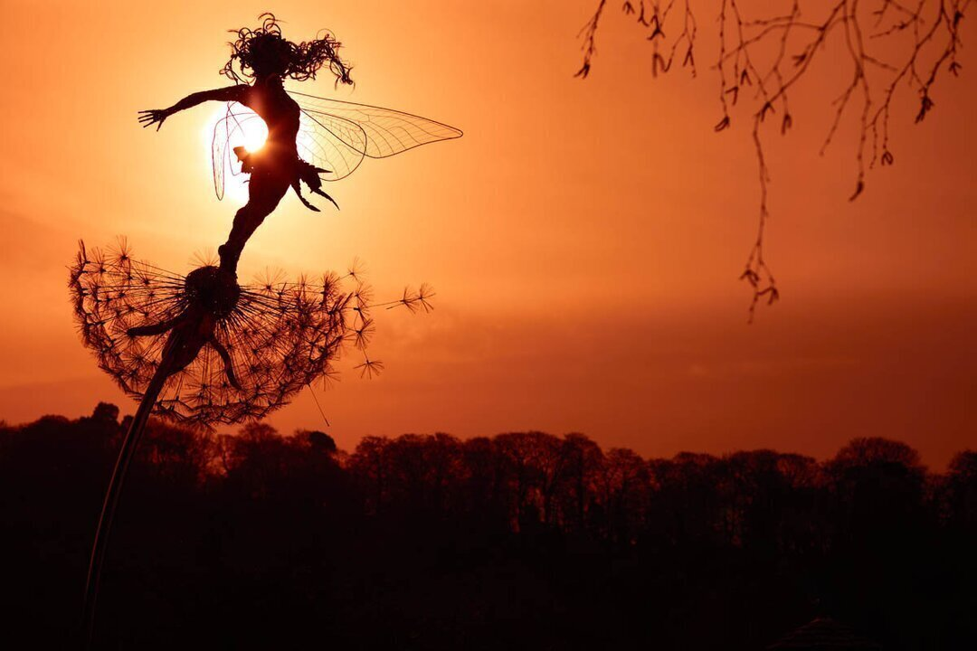 Faelyra™ — Ignite Your Garden with Enchanting Magic and Lasting Wonder
