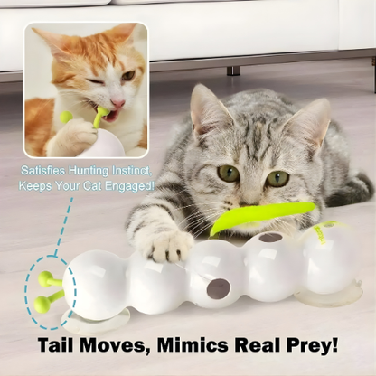 FelineFrenzy™ — Ignite Your Cat’s Wild Hunt and Endless Energy Every Day