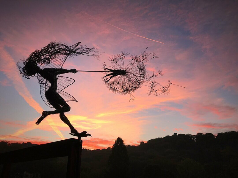 Faelyra™ — Ignite Your Garden with Enchanting Magic and Lasting Wonder