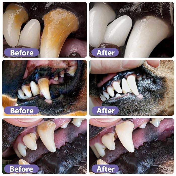 PurePaw™ Oral Rescue Gel — End Your Pet’s Pain and Bad Breath for Happy, Fresh Kisses Every Day