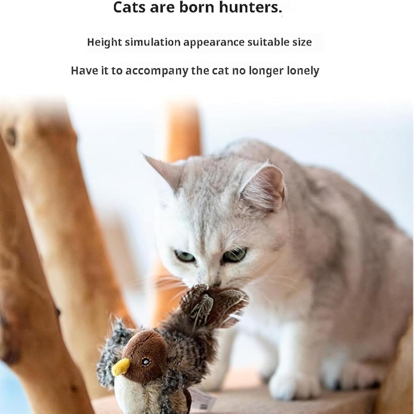 WildWing™ — Ignite Your Cat’s Wild Instincts for Endless Playtime Thrills