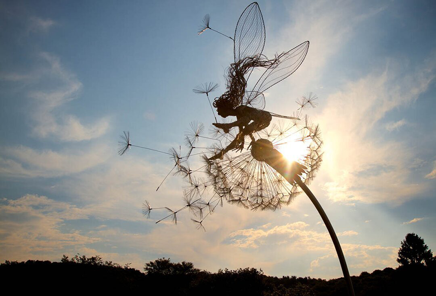 Faelyra™ — Ignite Your Garden with Enchanting Magic and Lasting Wonder