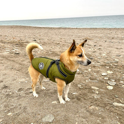 BlizzardGuard™ — Wrap Your Dog in Stormproof Warmth and Total Leash Control