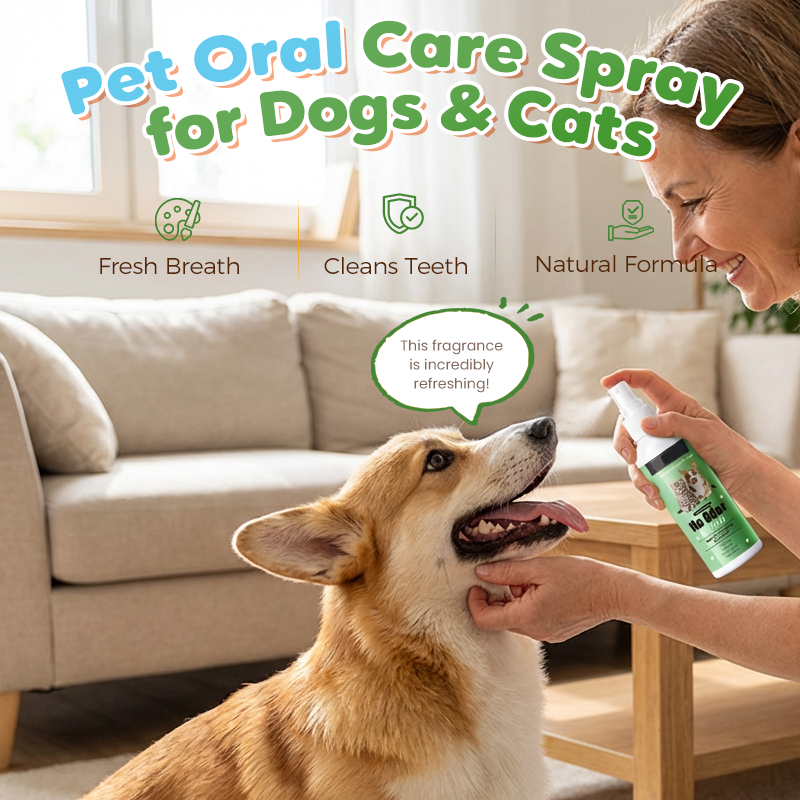 BrightPaw™ — Instantly Unleash Your Pet’s Freshest, Most Cuddle-Ready Smile