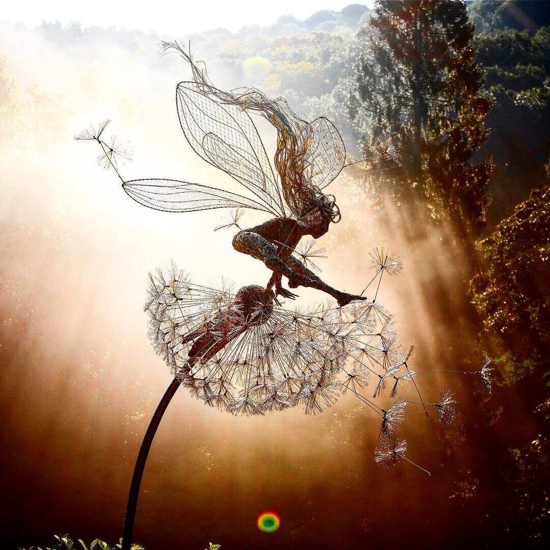Faelyra™ — Ignite Your Garden with Enchanting Magic and Lasting Wonder