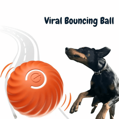 ChaseSpark™ — Ignite Your Dog’s Wild Instincts for Endless Joyful Play