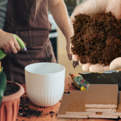 TerraPulse™ Organic Coconut Coir — Ignite Lush Growth with Every Breath Your Garden Takes