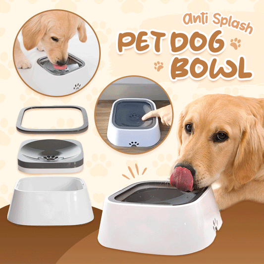 FlowGuard™ — Keep Floors Dry and Your Dog’s Sips Calm and Happy