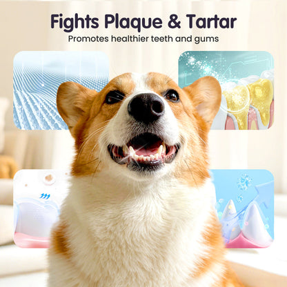 PawVita™ — Effortless Fresh Breath and Sparkling Smiles for Your Beloved Pet