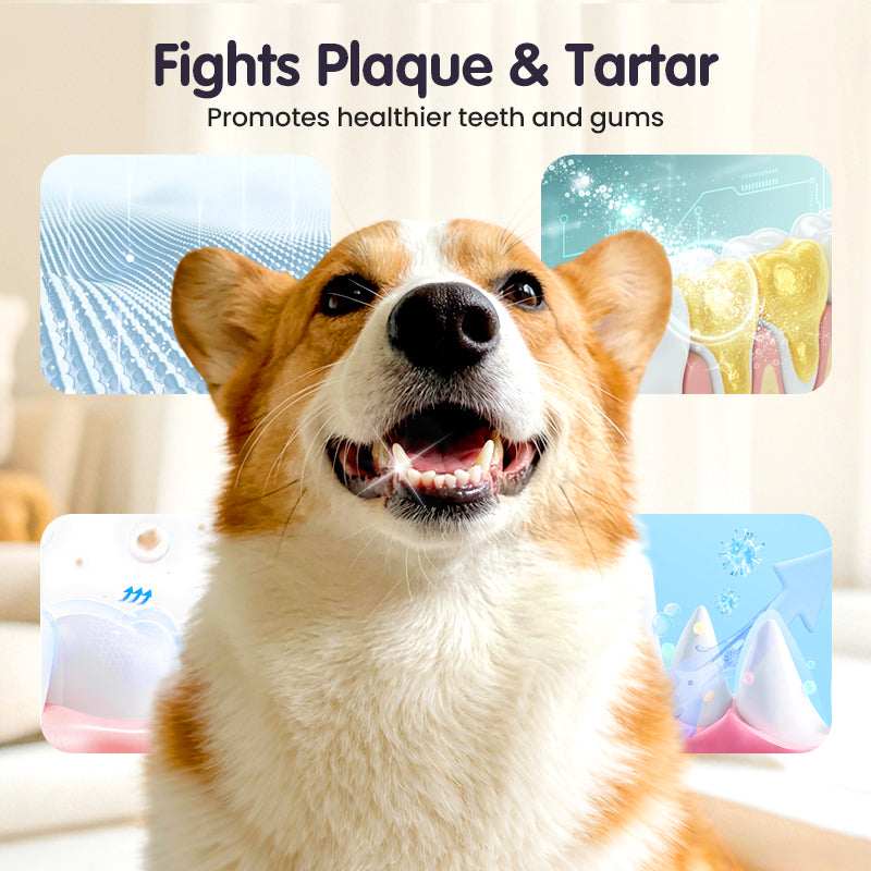BrightPaw™ — Instantly Unleash Your Pet’s Freshest, Most Cuddle-Ready Smile