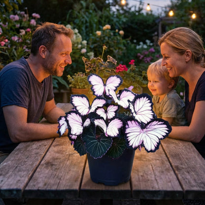 VividWing™ Butterfly Bloom Seeds — Create a Jaw-Dropping Garden Oasis That Dazzles Every Season