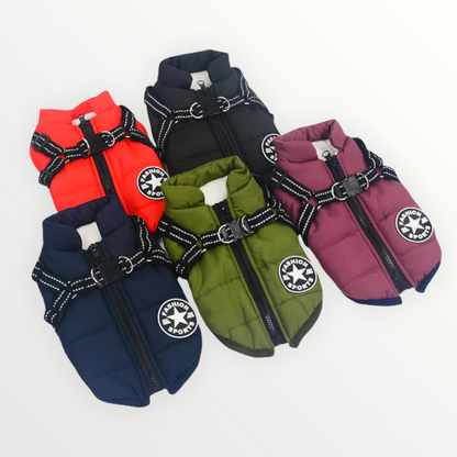 BlizzardGuard™ — Wrap Your Dog in Stormproof Warmth and Total Leash Control